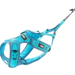 I-DOG Harnais pour chien coloris bleu canicross réglable X-Back Phoenix ALM - Taille XL