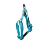 MARTIN SELLIER Harnais Turquoise 35/50cm