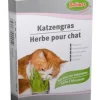 BUBIMEX Herbe à chat