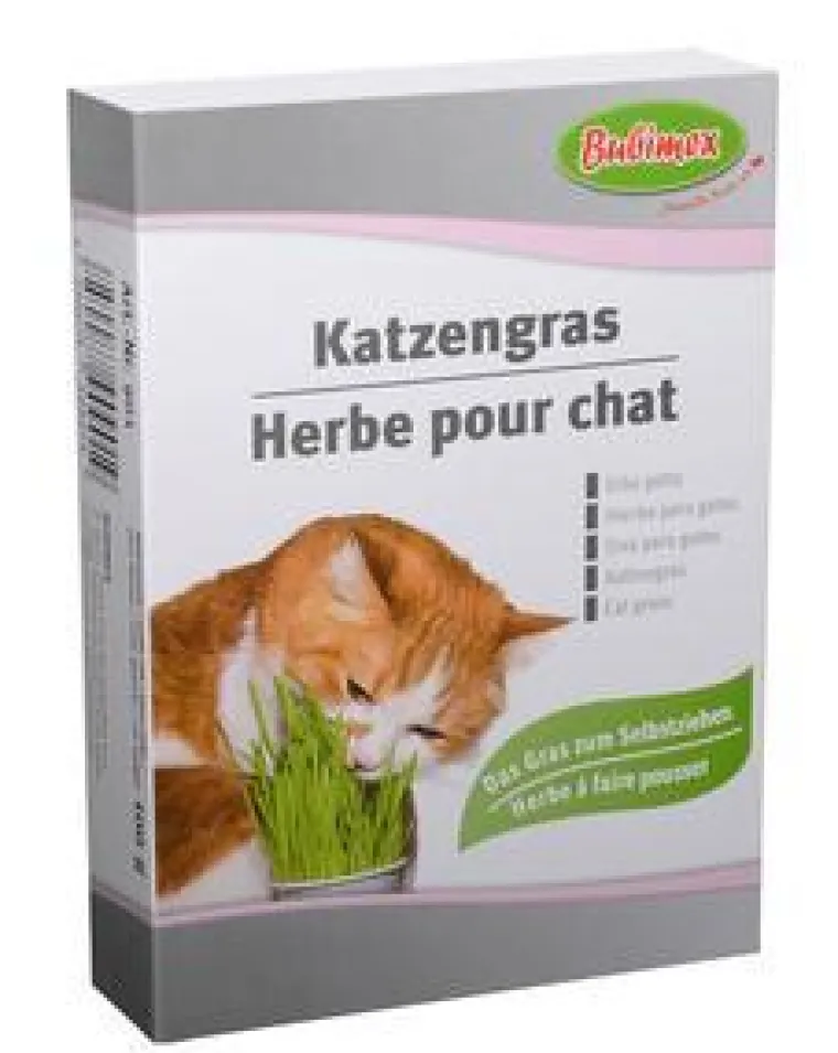 BUBIMEX Herbe à chat