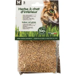 MARTIN SELLIER Herbe à chat d’intérieur petit modèle - graines à semer