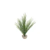 LABEO Herbe corail verte en plastique moyen modèle 22 cm