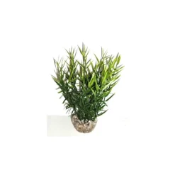 LABEO Herbe marine verte en plastique 16 cm