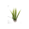LABEO Herbe verte en plastique petit modèle 16 cm