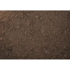 REPTILE PLANET Humus de coco compressé pour terrarium coloris marron Forest Bedding - 650 g