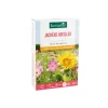 BOTANIC® Jachère pour abeilles - graines à semer (100 m²)