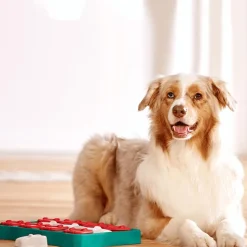 NINA OTTOSSON Jeu d'intelligence pour chien coloris multicolore Treat Brick niveau 2