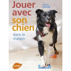 ÉDITIONS EUGEN ULMER Jouer avec son Chien à la Maison 96 pages Éditions Eugène ULMER