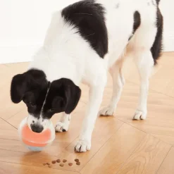 NINA OTTOSSON Jouet éducatif pour chien coloris orange niveau 1 Rumble Puzzle 2 en 1