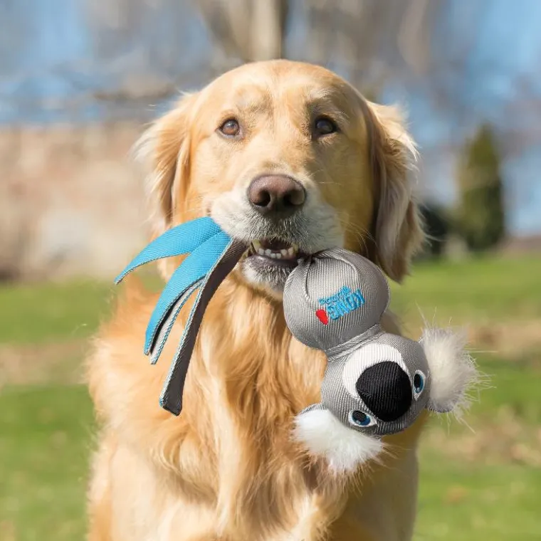 KONG Jouet pour chien coloris bleu Wubba Zoo Koala - Taille L