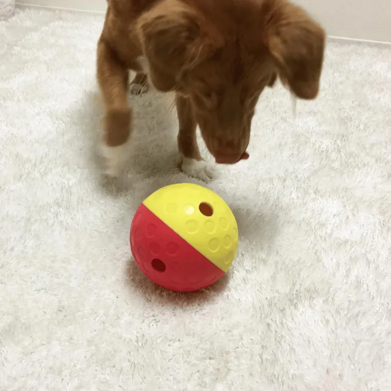 NINA OTTOSSON Jouet pour chien coloris rouge balle à friandises – Taille L