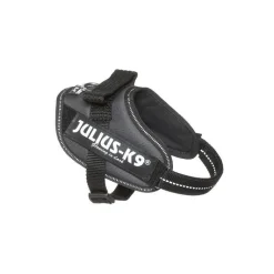 JULIUS-K9 Julius IDC Mini-Mini gris foncé
