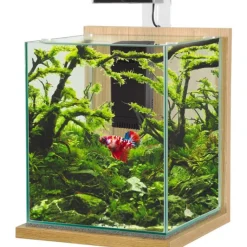 ZOLUX Kit aquarium Jalaya XL coloris chêne clair – 25 x 25 x 30 cm