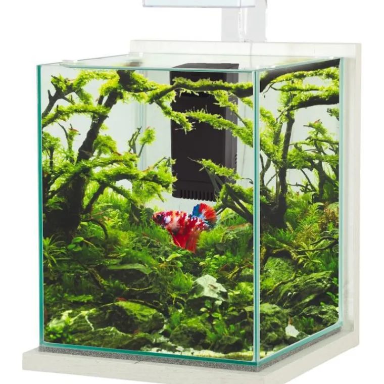 ZOLUX Kit aquarium Jalaya XL coloris ceruse blanc - 25 x 25 x 30 cm