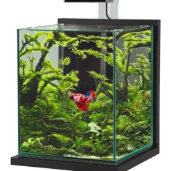 ZOLUX Kit aquarium Jalaya XL coloris gris anthracite - 25 x 25 x 30 cm