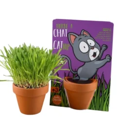 RADIS ET CAPUCINE Kit de plantation herbe à chat carte nature chat