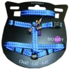 BOBBY Kit harnais + laisse pour chat Safe bleu