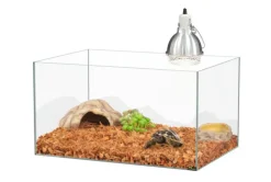 TERRATLANTIS Kit pour bébé tortue terrestre coloris transparent - 65 x 45 x 35 cm