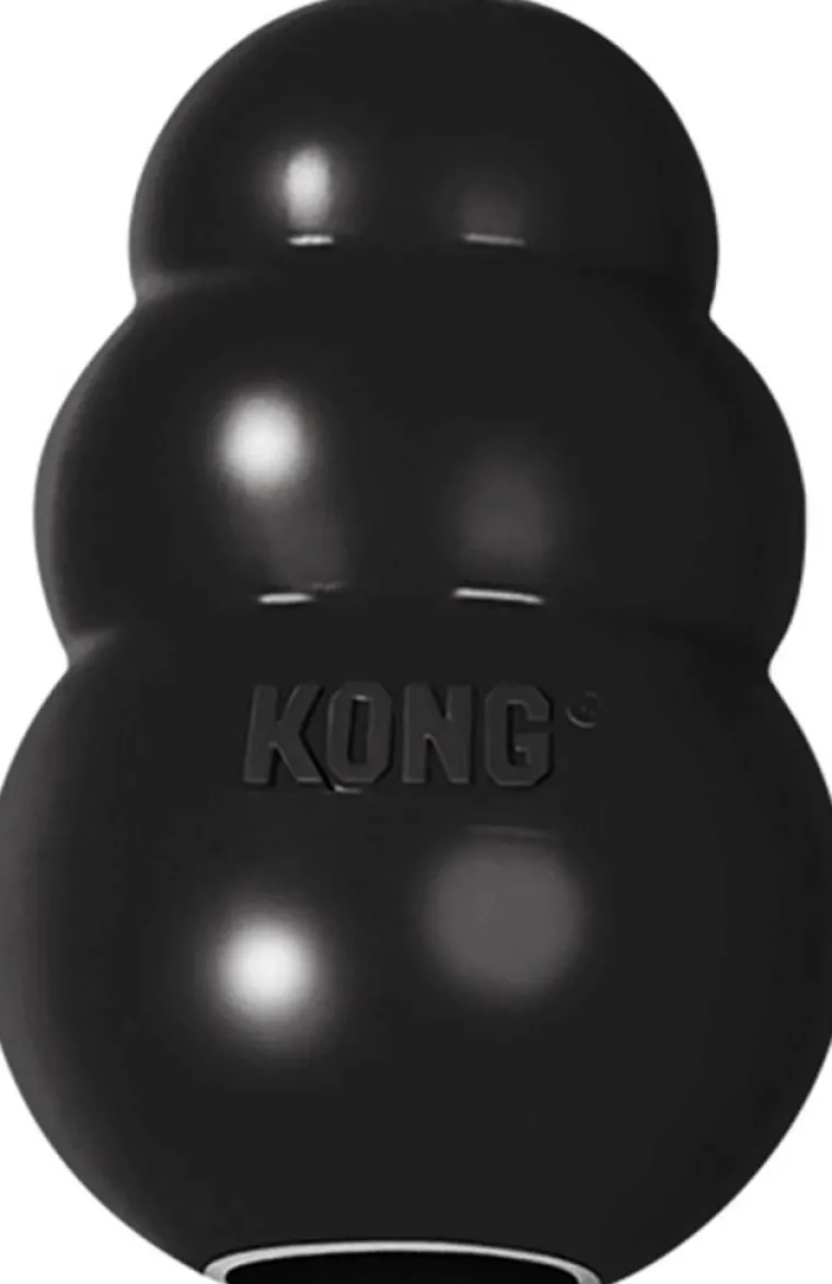 KONG® Kong Classic Xtrem Flamingo - Taille Small