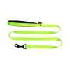 MARTIN SELLIER Laisse en nylon vert citron pour chien - 1,6x120 cm