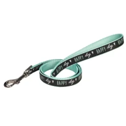 BOBBY Laisse verte Happy taille XS