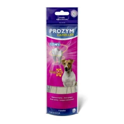 PROZYM Lamelles pour chien x 5 - mini sachet de 5 g