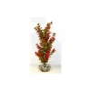 LABEO Ledwiga vert-rouge en plastique grand modèle 24 cm