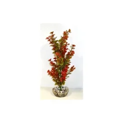 LABEO Ledwiga vert-rouge en plastique grand modèle 24 cm
