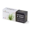 VÉRITABLE Lingot herbe à chat substrat présemé Véritable® - 3,6 x 12,8 x 5,3 cm