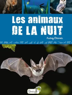 ÉDITIONS GRENOUILLE Livre "Les animaux de la nuit" Artemis
