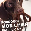 ÉDITIONS EUGEN ULMER Livre Pourquoi mon chien fait-il ça ? Aux Éditions Ulmer - 96 pages