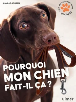ÉDITIONS EUGEN ULMER Livre Pourquoi mon chien fait-il ça ? Aux Éditions Ulmer - 96 pages