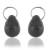 PETSAFE Lot de 2 aimants chatière magnétiques noir