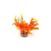 LABEO Massif d’algue assorti orange en plastique 8 cm