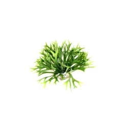 LABEO Massif d’algue vert en plastique petit modèle Ø 20 x 14 cm
