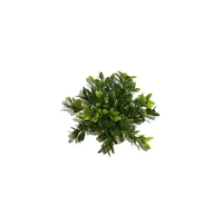LABEO Massif rond coloré vert en plastique 10 x 15 cm