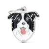 MYFAMILY Médaille friends pour border collie