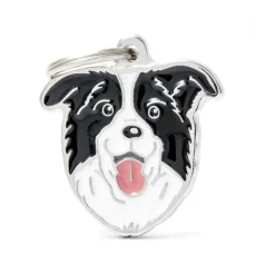 MYFAMILY Médaille friends pour border collie