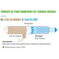 BLUE CORAL Membrane osmoseur 75 GPD, filtration efficace - AQUAPRO - rendement 284L/J