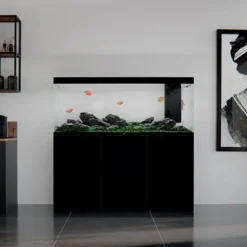 BLUE CORAL Meuble aquarium noir, robuste et durable - CIANO Emotions Pro 150 - 150 cm