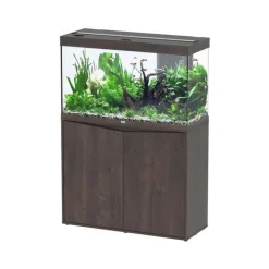 AQUATLANTIS Meuble pour aquarium Splendid chêne foncé