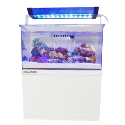 BLUE CORAL Micro aquarium Armatus XS AQUA MEDIC