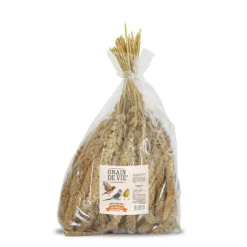 GRAIN DE VIE Millet jaune français pour oiseaux - 1 kg