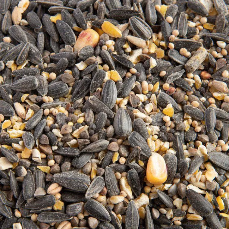 GRAIN DE VIE Mélange de graines bio pour oiseaux - 5kg