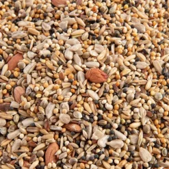 GASCO Mélange de graines pour oiseaux 4 saisons 2 kg
