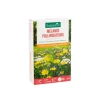 BOTANIC® Mélange fleuri pour pollinisateurs - graines à semer (10 m²)
