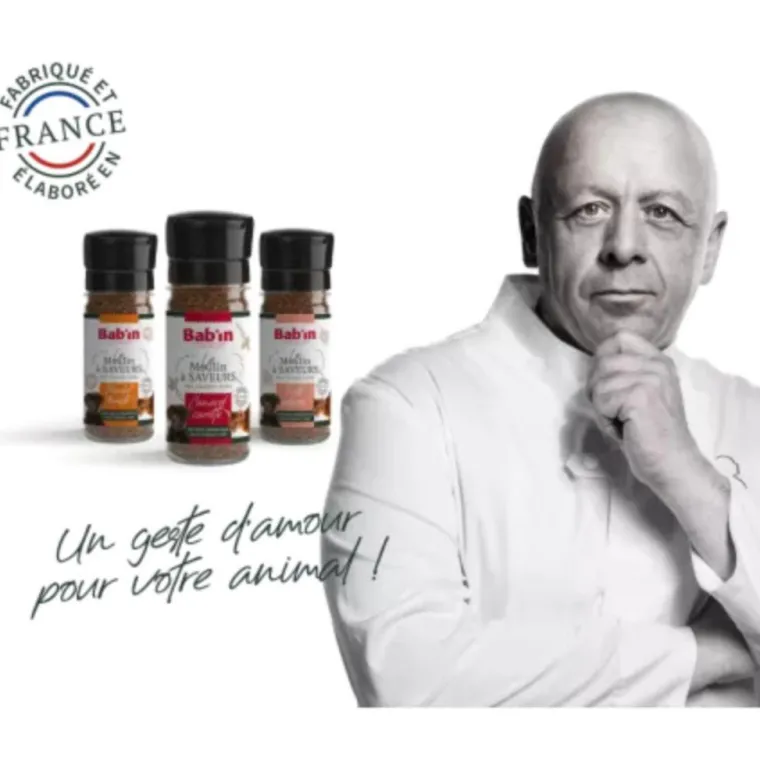 BABIN Moulin à saveurs pour chien et chat à la truite et aux algues Bab'in - 45 g