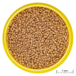 BLUE CORAL Nourriture granulée - JBL ProNovo Lotl Grano S - Poids net 56g