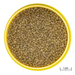BLUE CORAL Nourriture pour gourami, granulés ProNovo, JBL - 115g, 250ml