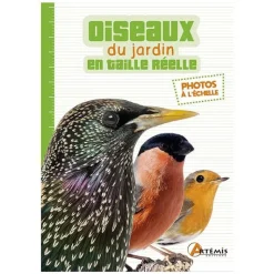 ÉDITIONS ARTEMIS Oiseaux du jardin en taille réelle. Editions Artemis